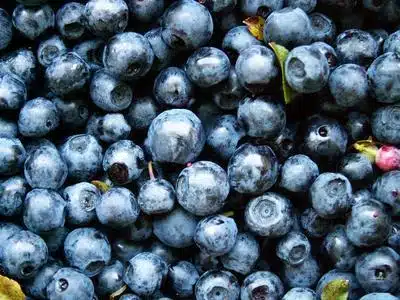 Lower Cholesterol Naturally Fitness Camp Tip