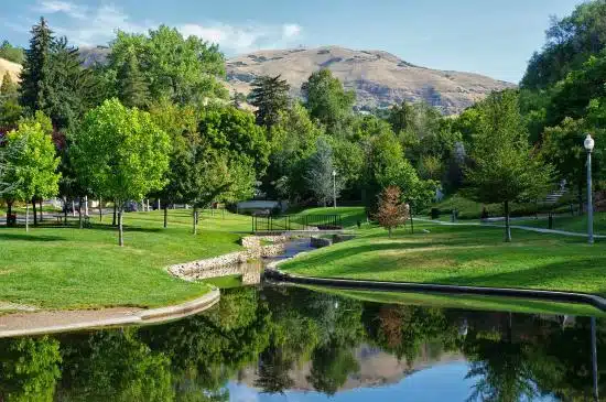 Beautiful Weight Loss Camp Traill