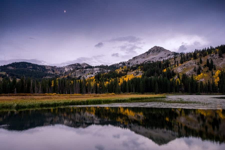 Nick From Alberta Unite Fitness Retreat