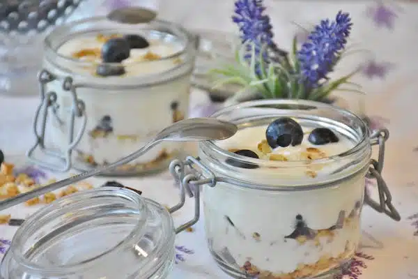 Probiotics for your Health Fitness Camp Nutrition Tip