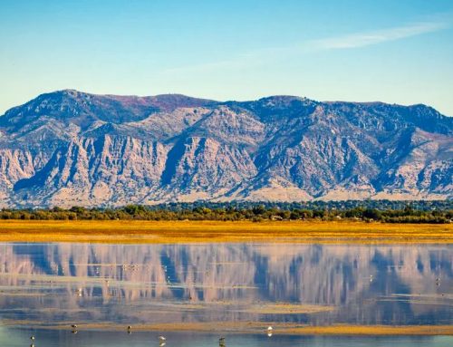 Why Utah is the Top Location in the U.S. for Wellness Retreats