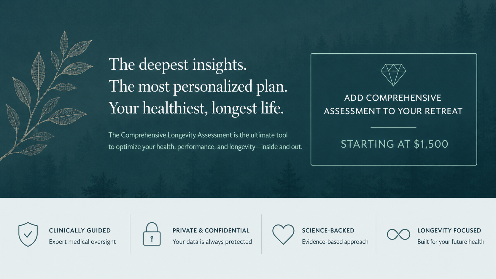 Deepest Insights Longevity Program